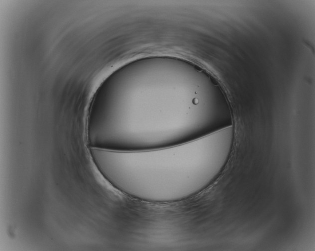 X0000102031528200807180955