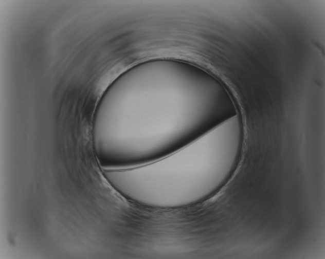 X0000102031529200807180955
