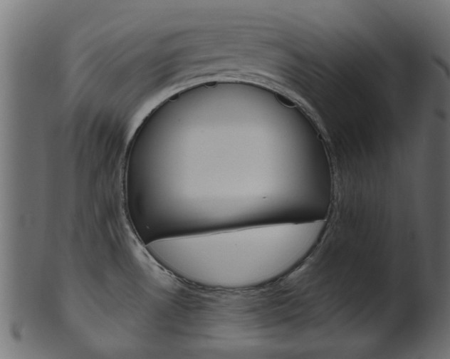 X0000102031530200807180955