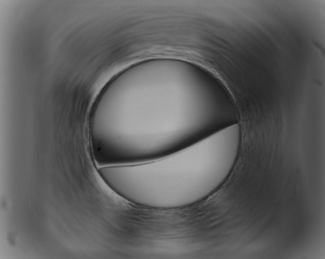 X0000102031531200807180955