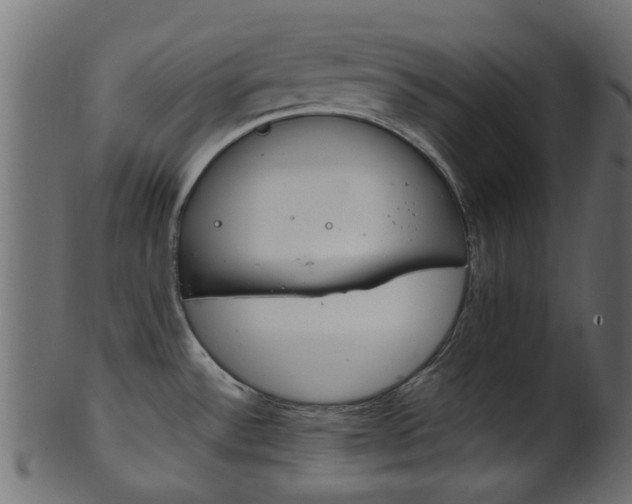 X0000102031532200807180955