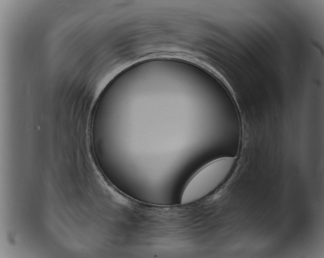 X0000102031533200807180955