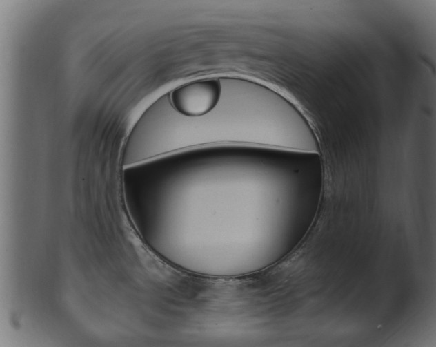 X0000102031534200807180955
