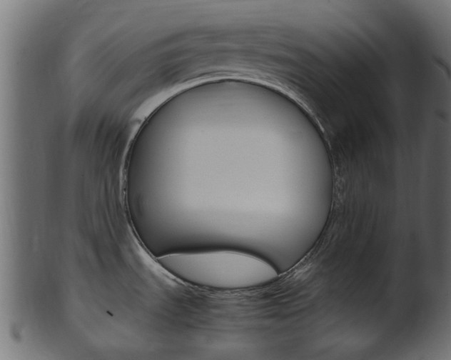 X0000102031535200807180955