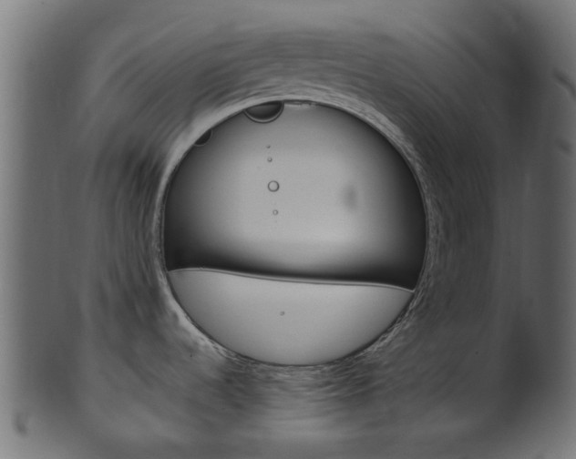X0000102031536200807180955