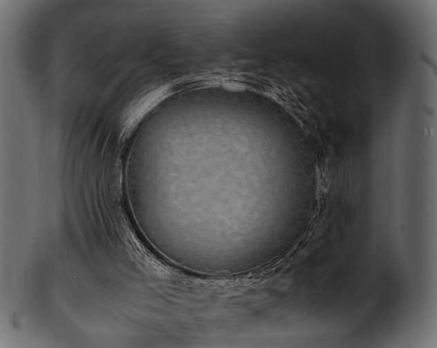 X0000102030005200807181401