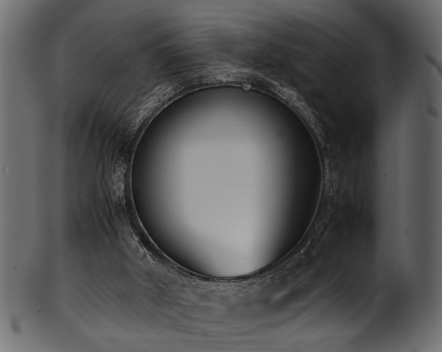 X0000102030010200807181401