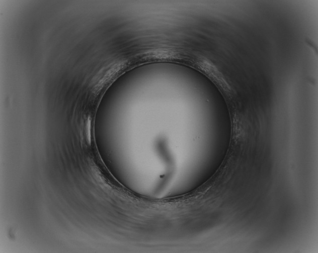 X0000102030014200807181400