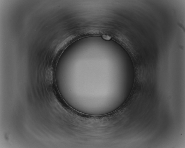 X0000102030016200807181400