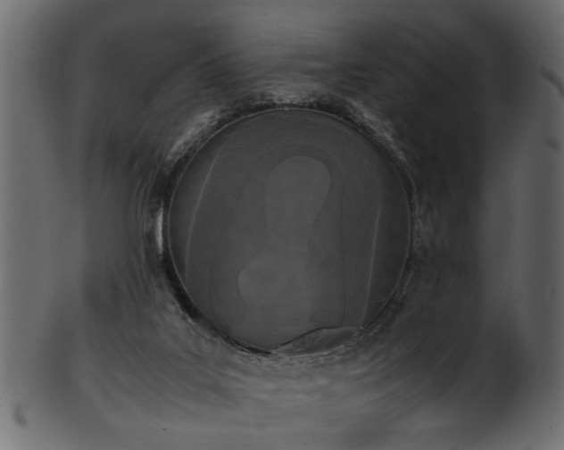 X0000102030019200807181400