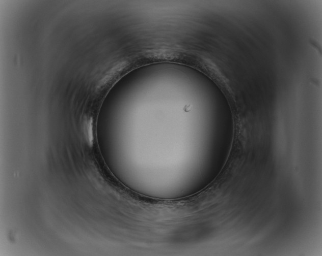 X0000102030020200807181400