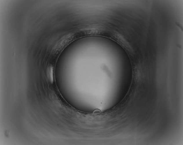 X0000102030022200807181400