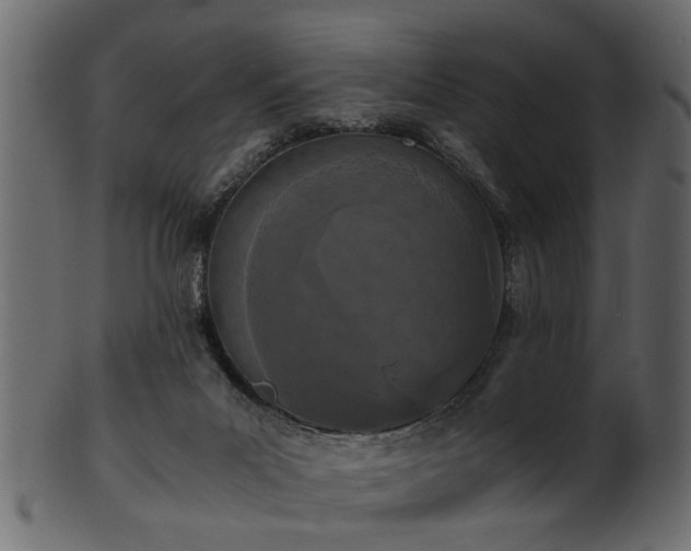 X0000102030023200807181400