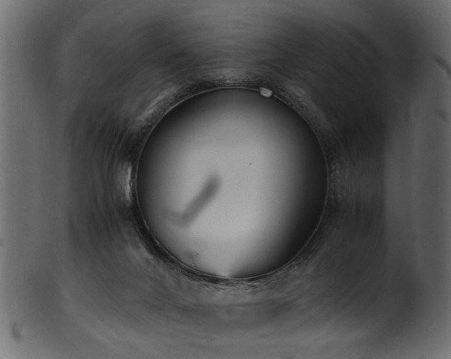 X0000102030024200807181400