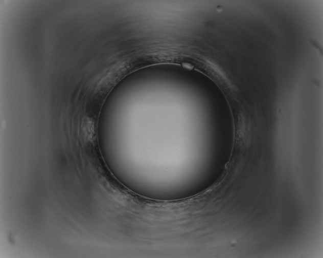 X0000102030025200807181400