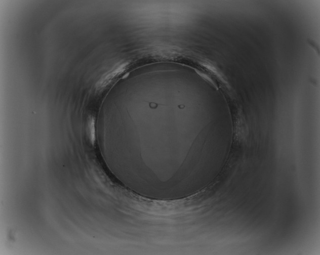 X0000102030027200807181400