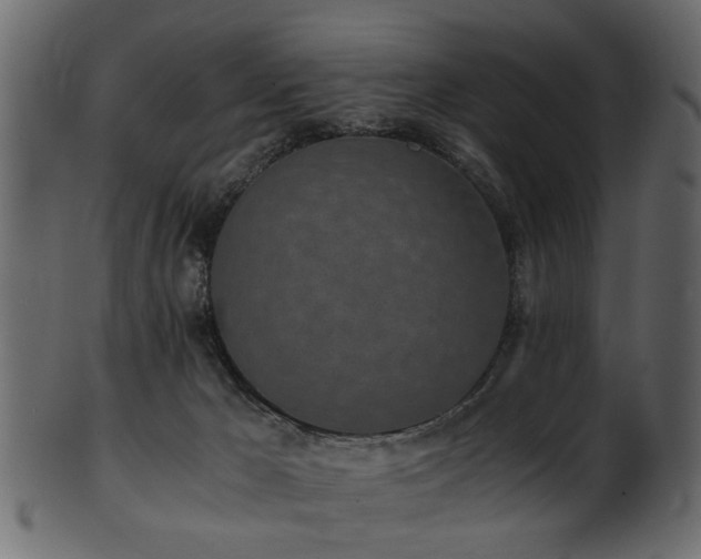 X0000102030029200807181400