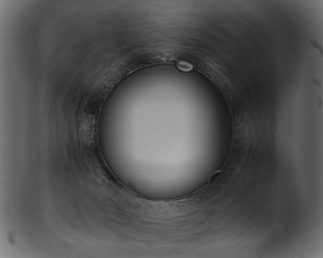 X0000102030030200807181400