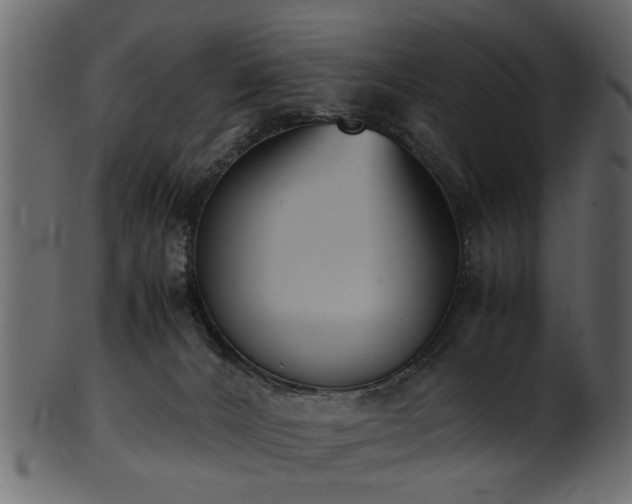 X0000102030032200807181400