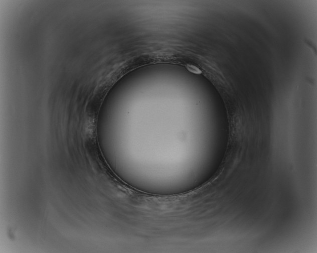 X0000102030033200807181400