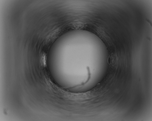 X0000102030042200807181400