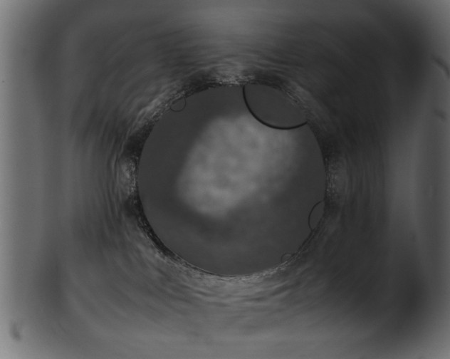 X0000102030043200807181400