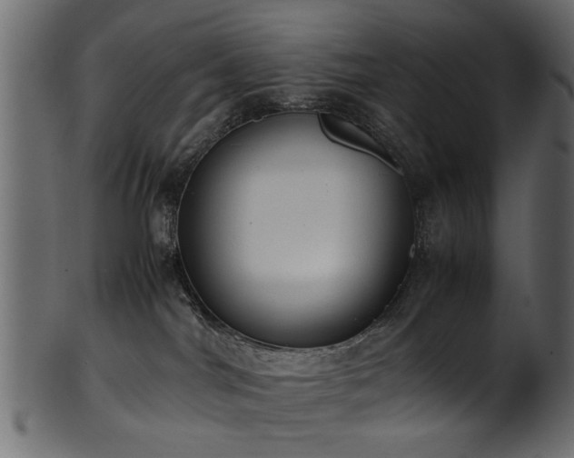 X0000102030044200807181400