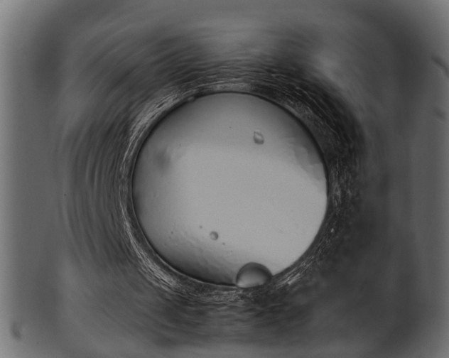 X0000102030049200807181359