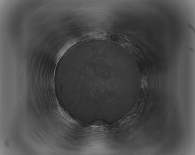 X0000102030052200807181359