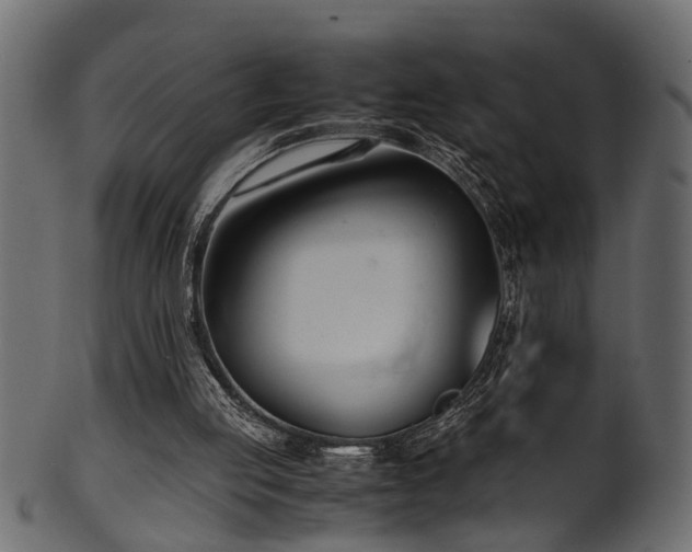 X0000102030053200807181359