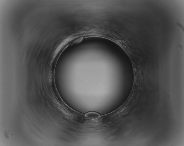 X0000102030056200807181359