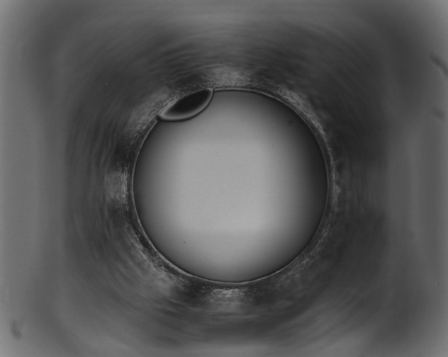 X0000102030057200807181359