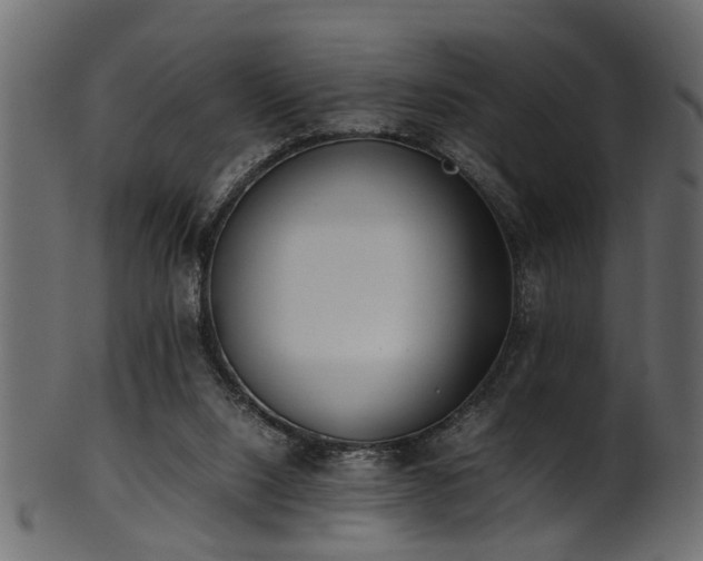 X0000102030064200807181359