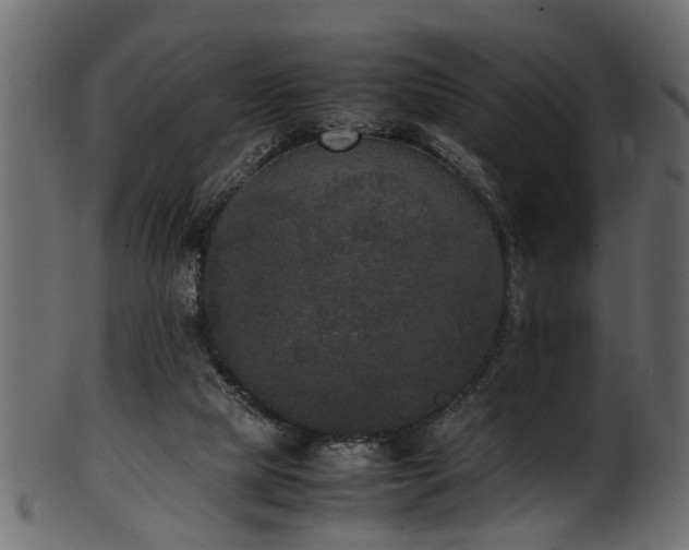 X0000102030065200807181359