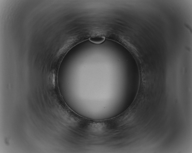 X0000102030067200807181359