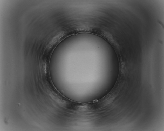 X0000102030068200807181359