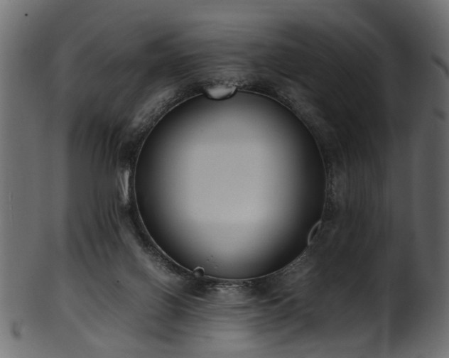 X0000102030070200807181359