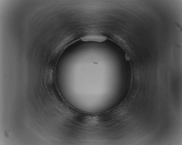 X0000102030071200807181359