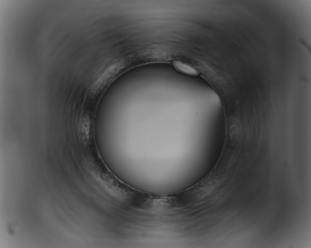 X0000102030072200807181359