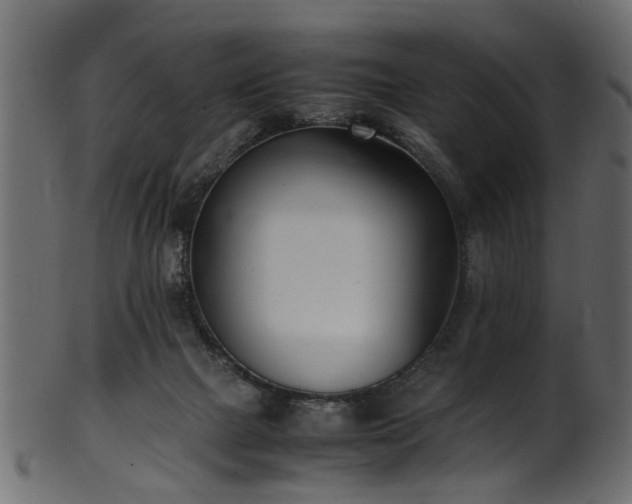 X0000102030073200807181359