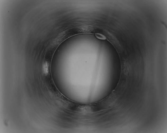 X0000102030075200807181400