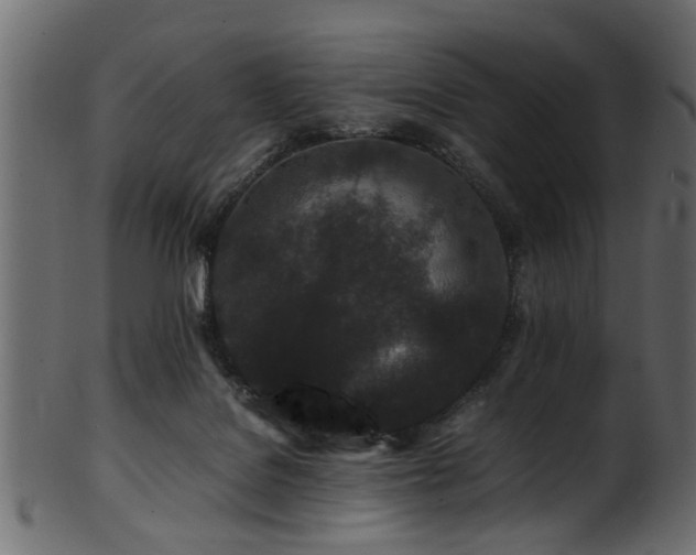 X0000102030076200807181400