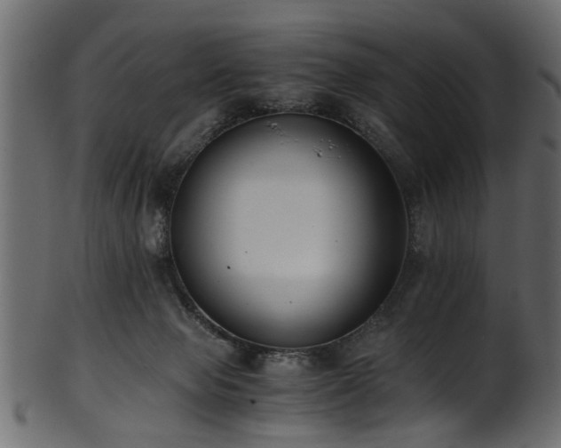 X0000102030077200807181400