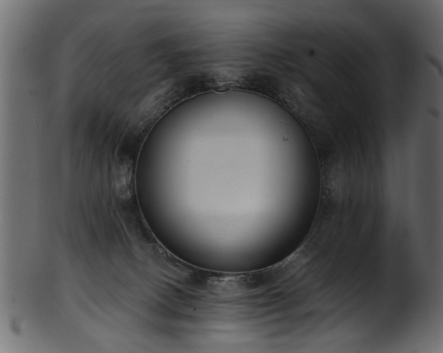 X0000102030082200807181400