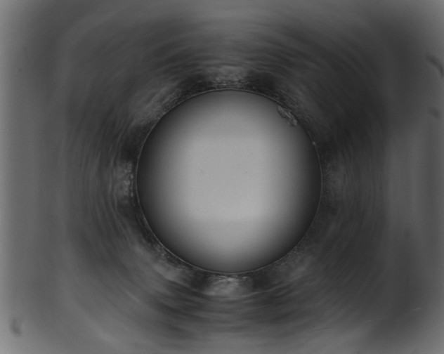 X0000102030083200807181400