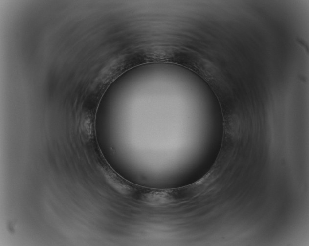 X0000102030086200807181400