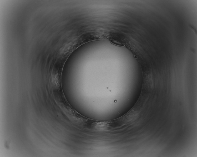 X0000102030088200807181400