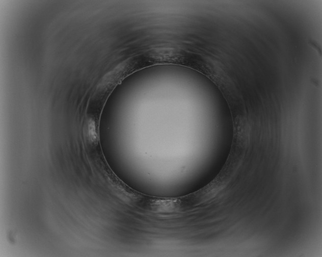 X0000102030089200807181400