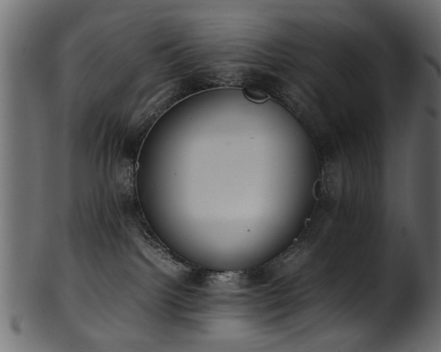 X0000102030092200807181400