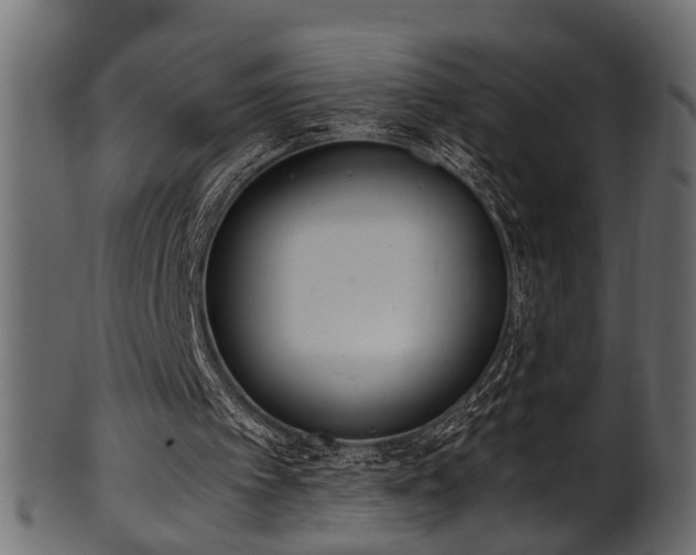 X0000102030097200807181359